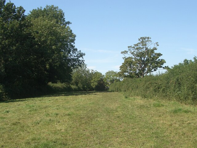 A field on the Bridgend Circular Walk, Laleston