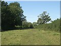 SS8779 : A field on the Bridgend Circular Walk, Laleston by eswales