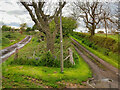 Twin Farm Tracks at Earsdon Moor