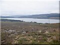 NH6131 : Loch Duntelchaig by Richard Webb