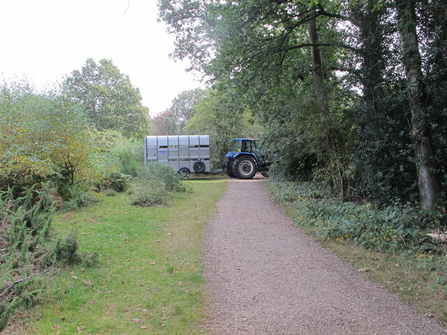 Horsebox and tractor, Burnham Beeches