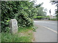 Bitton Parish stone