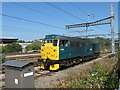 Class 31 in Pengam Sidings