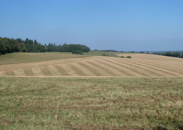 Farmland on the edge of Kingston, near Canterbury