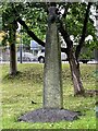 SD8433 : Old Central Cross in the garden of Burnley College Adult Education Centre on Bank Parade by Lee Rob
