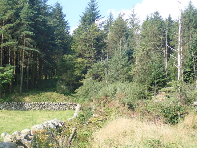 South-eastern boundary wall of the NI Forestry Service's Crocknafeola Forest