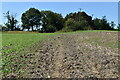 TR1235 : Footpath crossing field by N Chadwick