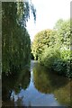 River Darent from the bridge