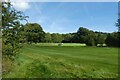 Golfers at Darenth Valley Golf Course