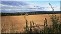 Tractor working in field at Long Strumble Farm