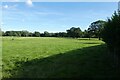 Field near Rye Lane