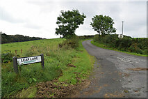 H4970 : Leap Lane, Edenderry by Kenneth  Allen