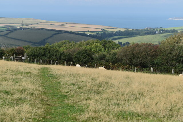 Downland path with distant view of Morte Bay