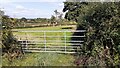 Field gateway on NE side of road opposite Gladsmuir