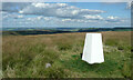 SE0314 : Triangulation pillar on Cupwith Hill, Marsden by Humphrey Bolton