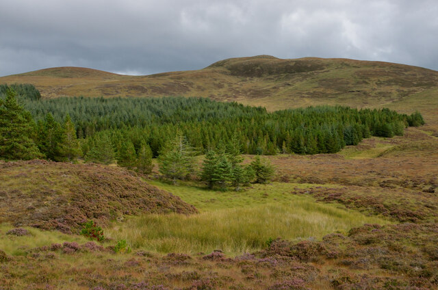 Breac-Bheinn and Inveroykel Wood, Ross-shire