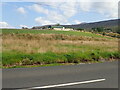 Working Farm East of the Moyad Road