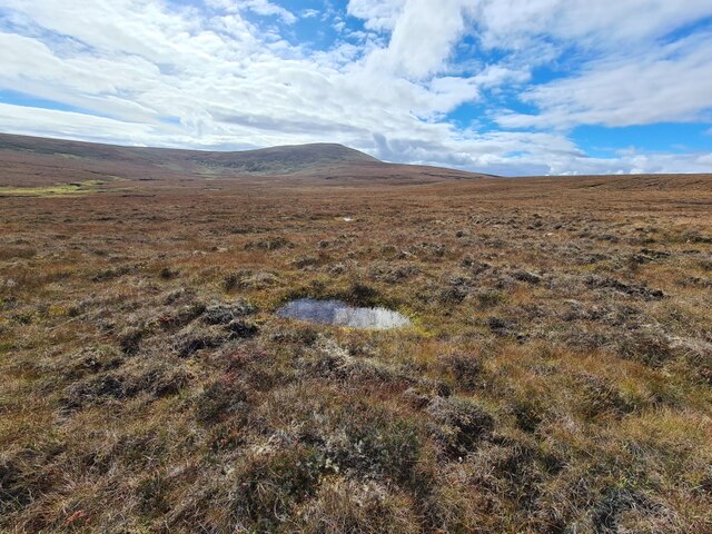 Damp Patches on Moorland N of Coire Gille Ghairbh