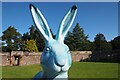 NT5183 : Big Hare no 10 beside Dirleton  Castle in East Lothian by Jennifer Petrie