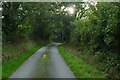 SM8920 : Lane towards Summerhill by David Lally