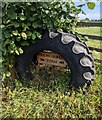 Friday Street Farm name sign inside a large tyre, Arlingham