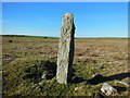 Old Boundary Marker on Emblance Downs, St Breward parish