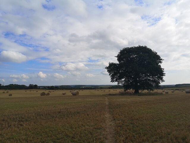 Farmland near Elmton and Creswell