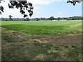 Farmland at Rousham