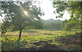 Fields near Top Farm