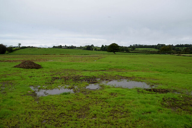 Swampy ground, Letfern