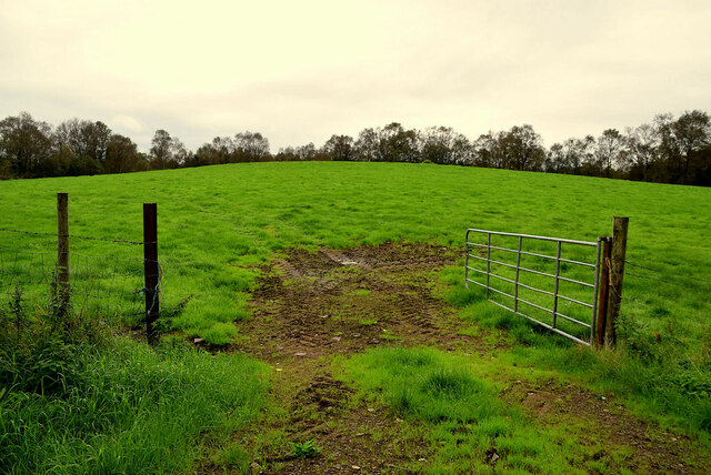 An open field, Beagh