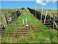 Footpath up to Stone Fold Lane, Marsden