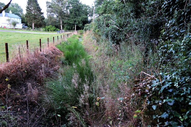 Vegetated ditch at Rye Foreign