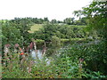 River Clyde, Kirkfieldbank