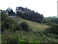 NS8743 : Hillside grazing, Kirkfieldbank Brae by JThomas