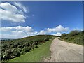 Cefn Bryn - the backbone of Gower