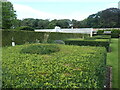 SE8675 : Squares of box, Scampston Walled Garden by Christine Johnstone