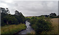 The River Aln seen from Peter