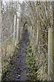 Muddy path out of Knatts Valley