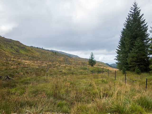 Boundary fence in Knapdale Forest