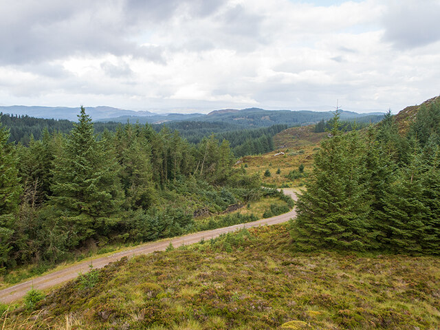 Forestry road in Knapdale Forest