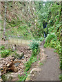 SD1799 : Closed footbridge over Stanley Ghyll by Mick Garratt