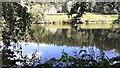 NY5148 : View across River Eden from its west bank near Low House by Luke Shaw
