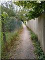 Strawberry Line NCN26 behind Wideatts Road in Cheddar