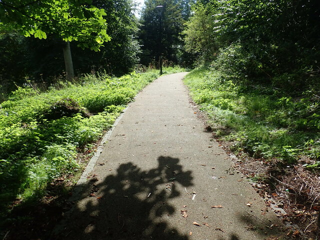 Wheelchair-user friendly path through the Grove