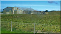 Farm sheds on the A25 East of Clough