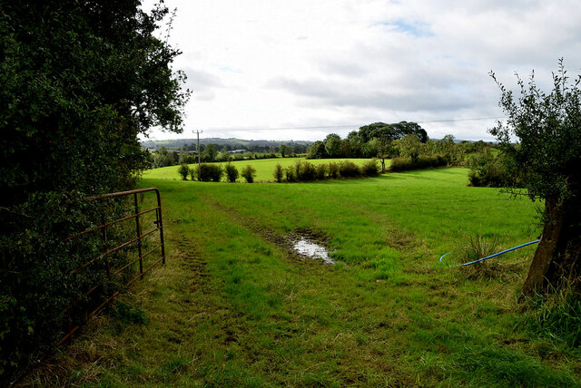 An open field, Tattyreagh Glebe