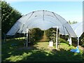 Polytunnel at Godber