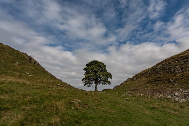 Sycamore Gap