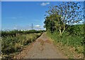 Track south of Stonepit Farm